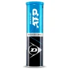 Shop ATP 4 Ball Tube Regular Balls