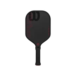 Cheap Blaze Tour Pickleball