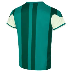 New Court Dri-Fit Slam T-Shirt Men - Light Green, Dark Green Shirts