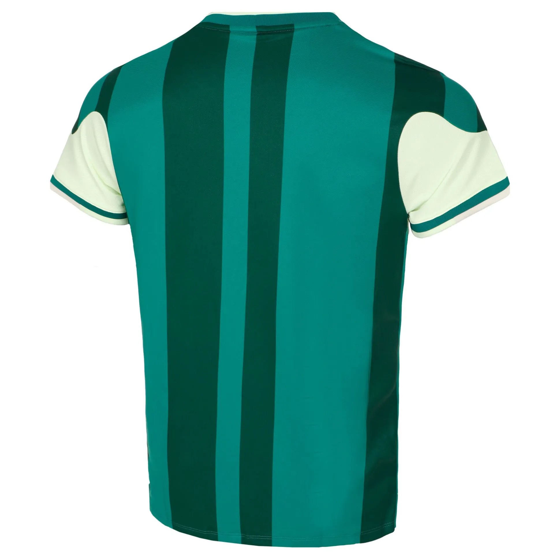 New Court Dri-Fit Slam T-Shirt Men - Light Green, Dark Green Shirts