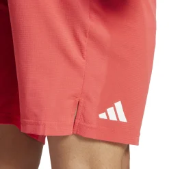 Store Ergo Shorts Men - Shorts