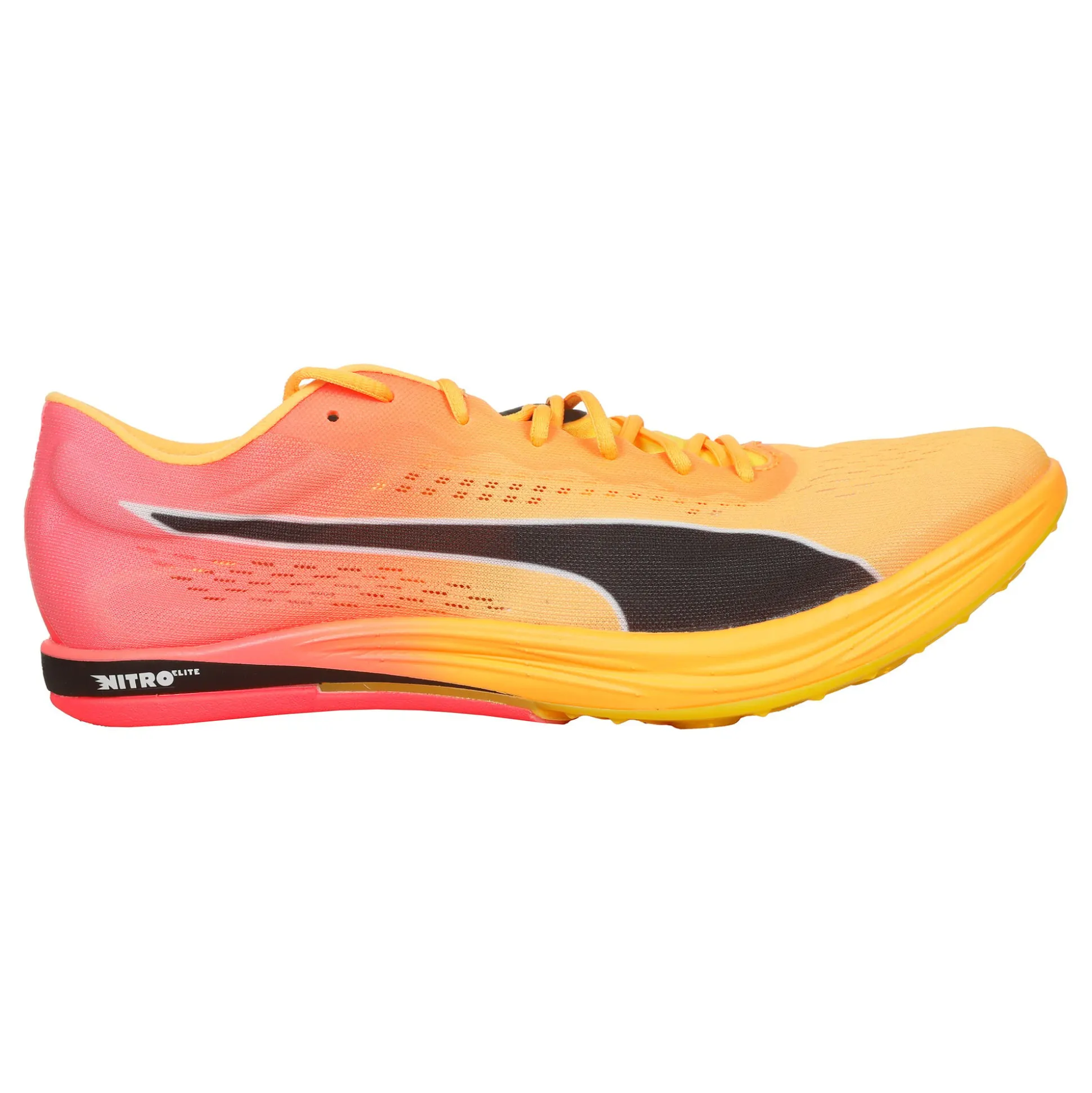 Best Sale EvoSPEED Long Distance Nitro Elite+ Spike Shoes Men - Orange, Pink Running Shoes