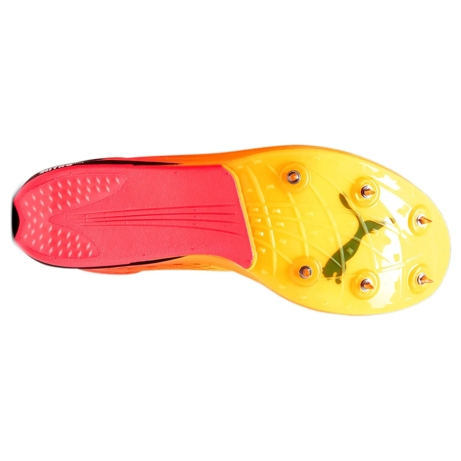 Best Sale EvoSPEED Long Distance Nitro Elite+ Spike Shoes Men - Orange, Pink Running Shoes