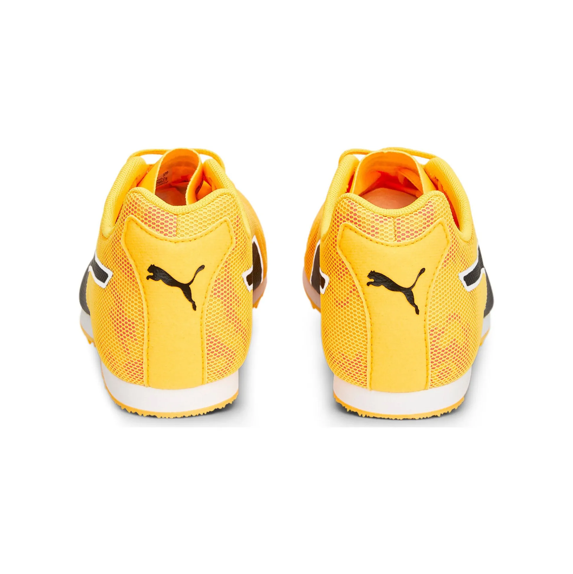 Clearance EvoSPEED Star 8 Spike Shoes - Orange, Yellow Running Shoes