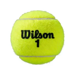 Online Roland Garros All Court 3 Ball Tube Regular Balls