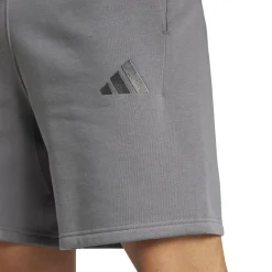 Hot SZN Freelifts Shorts Men - Shorts