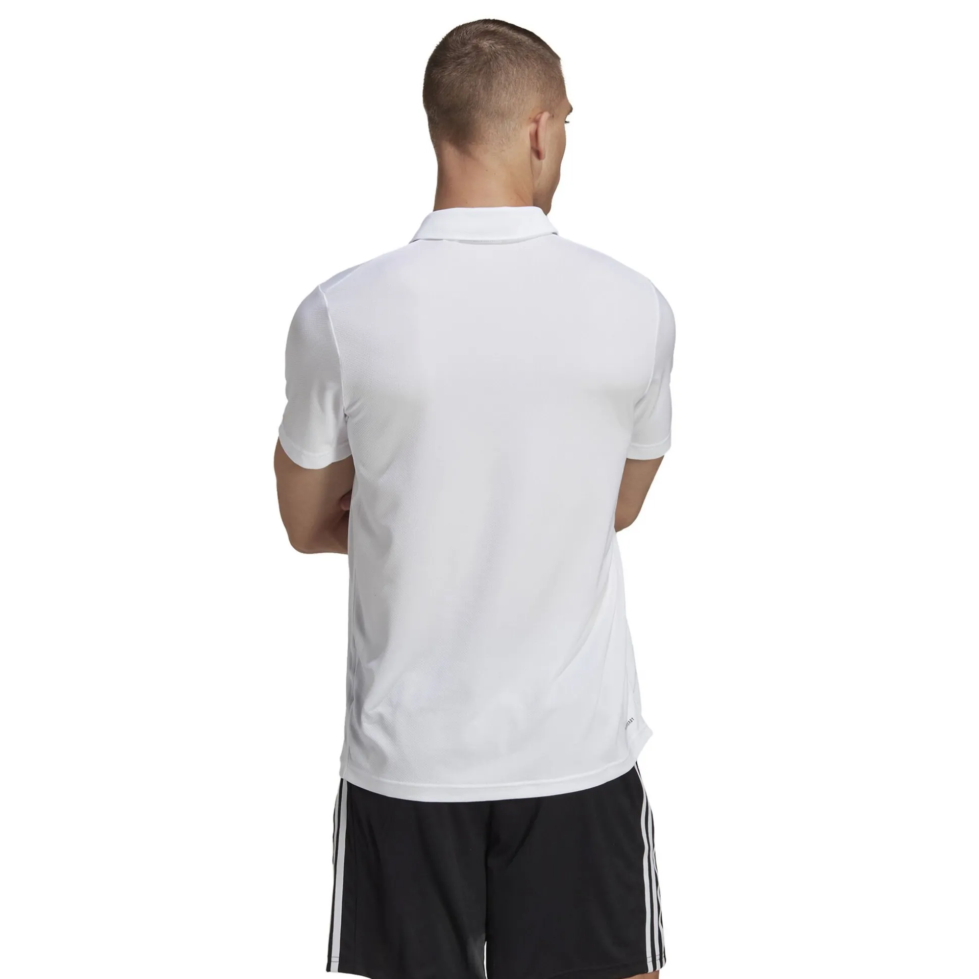 Discount Training ES Base Polo Men - Shirts