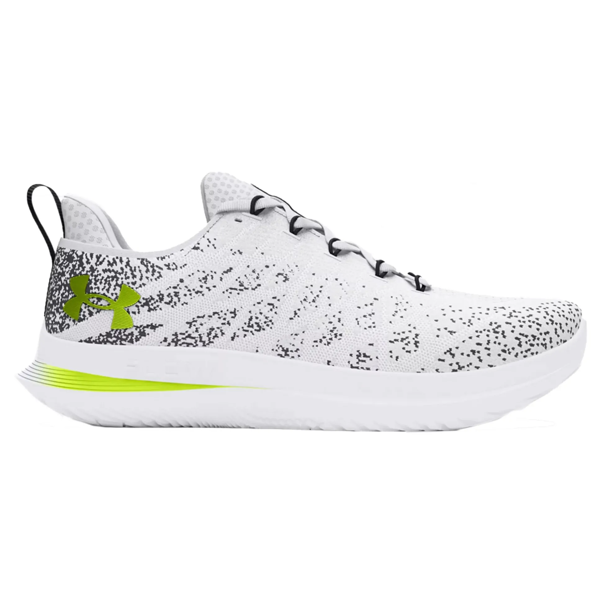 Store Velociti 3 Neutral Running Shoe Women - White, Anthracite Running Shoes