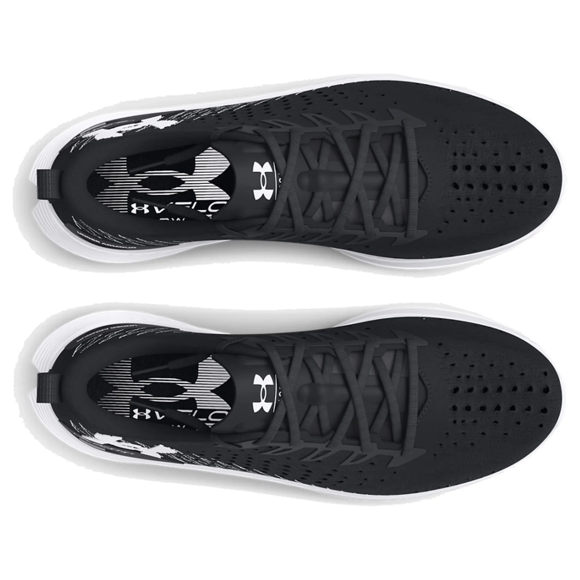 Best Velociti 4 SE Neutral Running Shoe Men - Black, Lightgrey Running Shoes